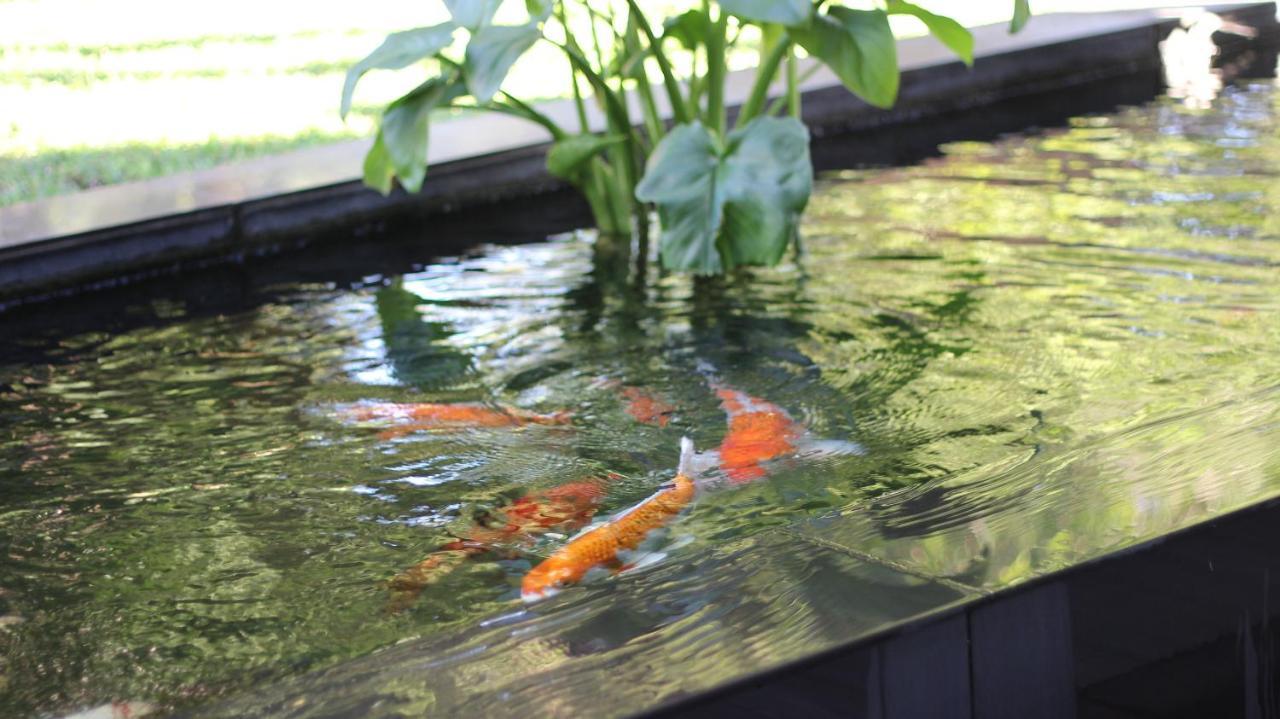 Ecolux Boutique Hotel Komatipoort Luaran gambar